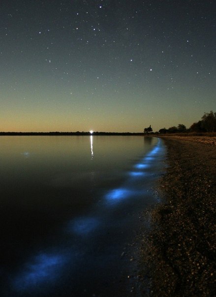 Гипселенд — озеро, которое светится ночью