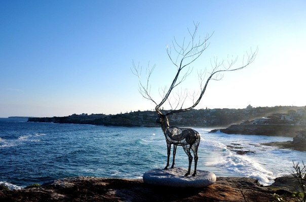 Скульптура оленя у моря, Австралия