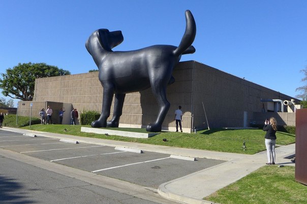Скульптура черного лабрадора, метящего территорию, 28 футов в высоту, установлена возле Художественного музея округа Ориндж (OCMA) в Ньюпорт-Бич, Калифорния.