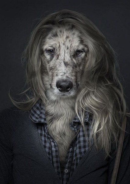Собаки как люди швейцарского фотографа Себастьяна Маньяни