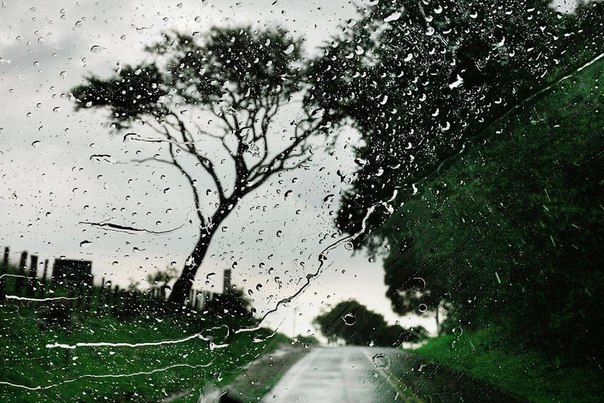 Дождь в фотографиях Cristophe Jacrot