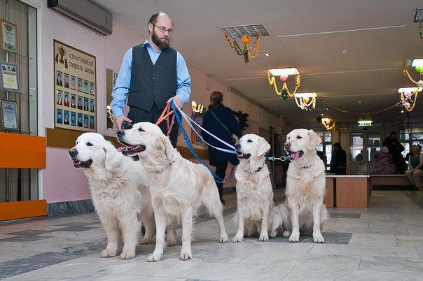Особые дети, удивительные собаки и замечательные люди. Это клуб  Солнечный пес” – единственный в Москве центр, работающий по методике канистерапии – реабилитации больных ДЦП, аутизмом и синдромом Дауна с помощью собак.
