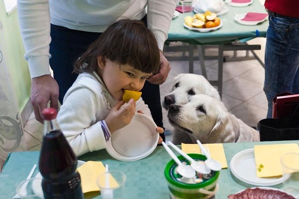 Особые дети, удивительные собаки и замечательные люди. Это клуб  Солнечный пес” – единственный в Москве центр, работающий по методике канистерапии – реабилитации больных ДЦП, аутизмом и синдромом Дауна с помощью собак.
