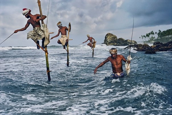 Местные рыбаки известные, как рыбаки на палках, сидят на тонких ходулях воткнутых в песок океана, в округе Коггала, Шри-Ланка.