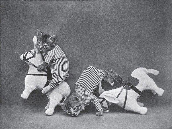 Ретро фотографии животных в костюмах, сделанные американским фотографом Гарри Уиттиером Фризом