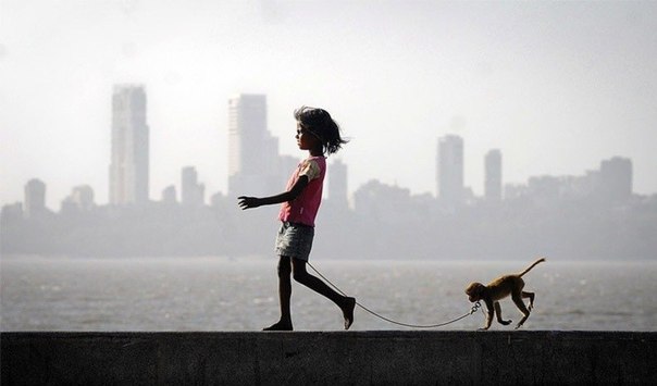 Девочка со своей ручной обезьянкой на набережной в Мумбаи.