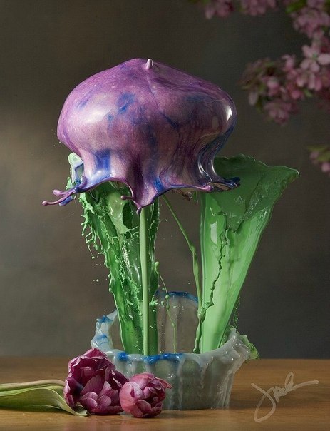Фотограф Джек Лонг снимает всплески жидкости так, что получаются цветы.