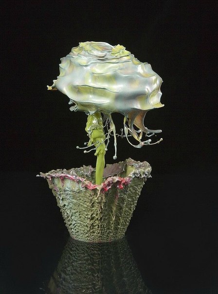 Фотограф Джек Лонг снимает всплески жидкости так, что получаются цветы.
