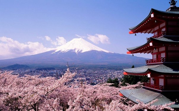 Три символа Японии: пагода, Фудзияма и цветущая сакура