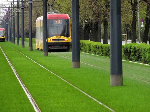 В Варшаве осуществили интересный экологический проект: трамвайные пути на нескольких городских маршрутах засеяли травой.