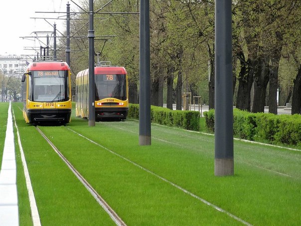 В Варшаве осуществили интересный экологический проект: трамвайные пути на нескольких городских маршрутах засеяли травой.