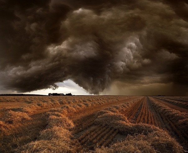 Застрять одному в поле в то время, как приближаются эти зловещие облака, должно быть довольно пугающе. Пока надвигалась гроза, лил дождь и сверкали молнии, 61-летний фотограф из Германии Франц Шумахер не пытался бежать в поиске укрытия. Наоборот, он установил свою камеру и запечатлел красивое и пугающее природное явление.