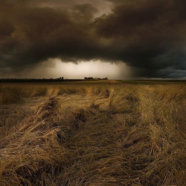 Застрять одному в поле в то время, как приближаются эти зловещие облака, должно быть довольно пугающе. Пока надвигалась гроза, лил дождь и сверкали молнии, 61-летний фотограф из Германии Франц Шумахер не пытался бежать в поиске укрытия. Наоборот, он установил свою камеру и запечатлел красивое и пугающее природное явление.