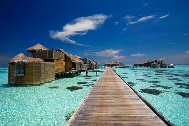 Пятизвездочный отель Gili Lankanfushi на Мальдивах