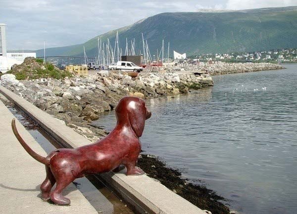 Вот такой трогательный памятник верной Таксе, ждущей своего хозяина - рыбака, установлен в Норвегии, г. Tromsø. Когда дует сильный ветер, собака покачивает хвостом.