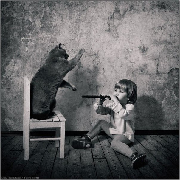 Фотопроект «Маленькая девочка и кот Том», фотограф Andy Prokh