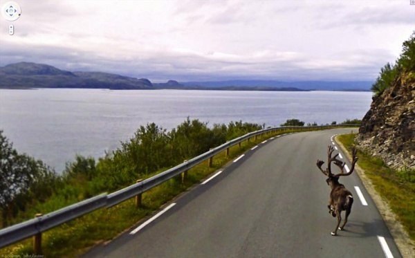 Странные фотографии из Google Street View.