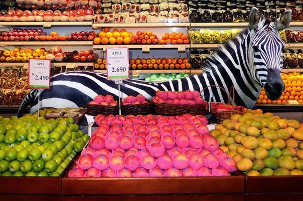 Фотограф Аген Харахеп из Индонезии сделал серию  фотографий животных  в супермаркете, будто они сами делают покупки на обед.