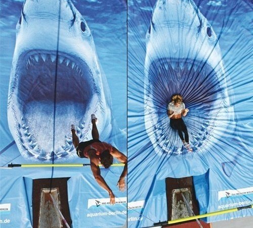 Батут с изображением акулы