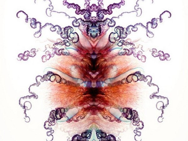 Необычные фотографии медуз от Аарона Ансарова