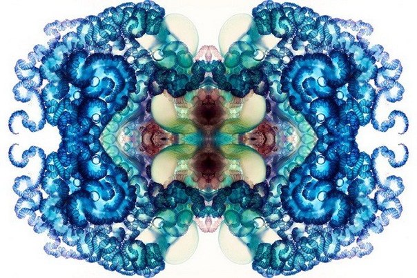Необычные фотографии медуз от Аарона Ансарова