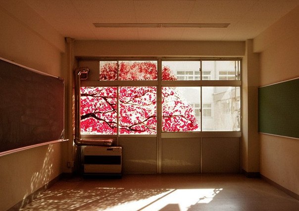Cherry Blossom, или Сакура ручной работы. Фреска на здании, готовом под снос