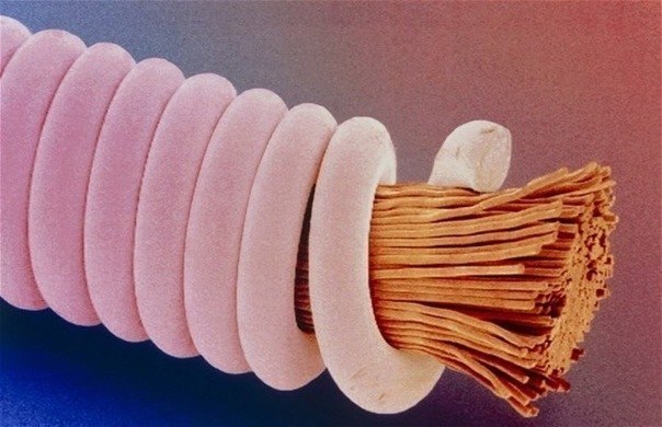Гитарная струна под микроскопом.