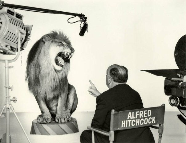 Альфред Хичкок является автором заставки с рычащим львом  для медиакомпании Metro-Goldwyn-Mayer.