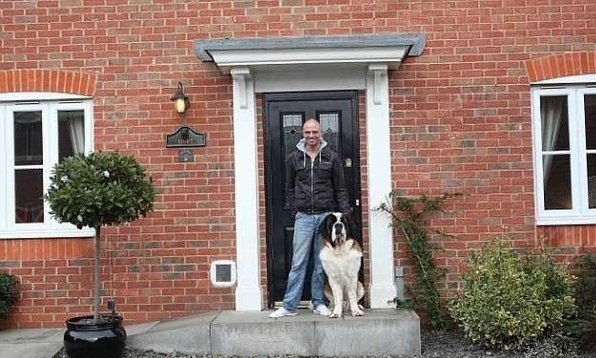 Большинство собак живут в будках из десятка старых досок, наспех сбитых ржавыми гвоздями. Но двухлетнему сенбернару Веллингтону повезло - его владелец  37-летний Джулиан Кайт сделал ему дом, как для самого себя.
