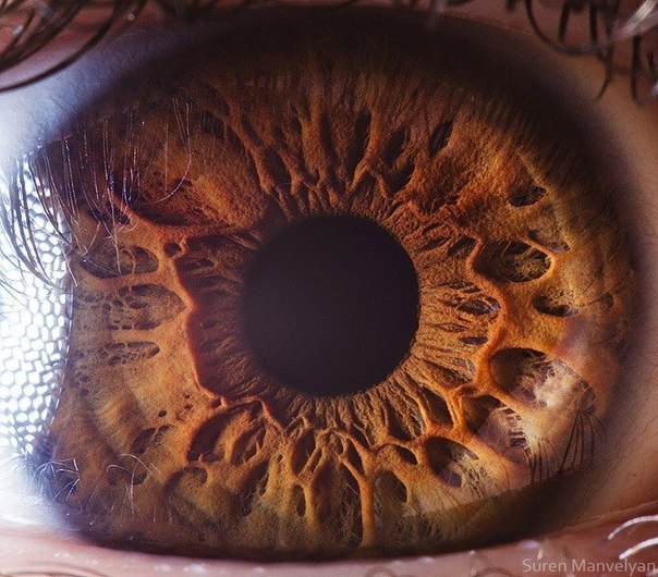Макрофотографии человеческих глаз от фотографа Сурена Манвеляна
