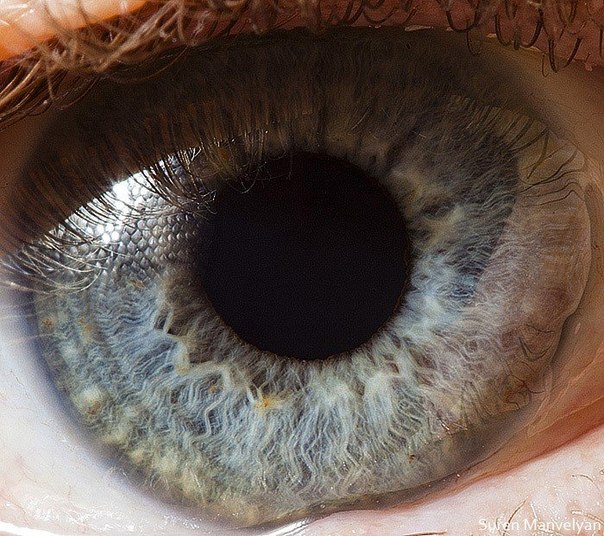 Макрофотографии человеческих глаз от фотографа Сурена Манвеляна