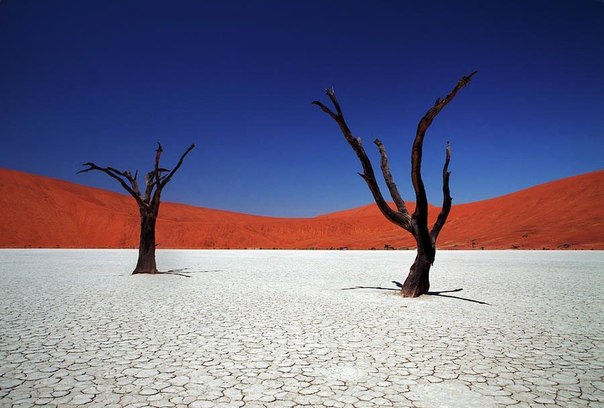 Завораживающие пейзажи пустыни Намиб