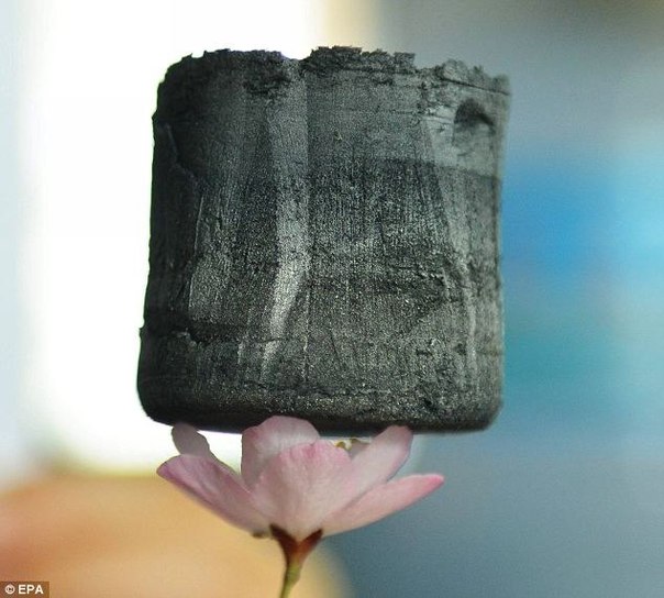 Китайскими учеными разработан самый легкий материал в мире. Его вес настолько мал, что легко удерживается на цветочных лепестках.