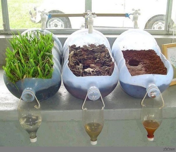 Пример, показывающий роль растений в фильтровании примесей и сохранении почвы целой