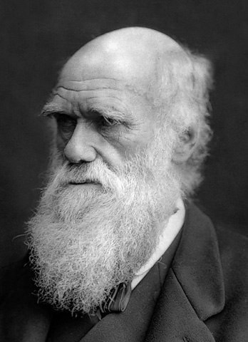 Правила жизни Чарльза Дарвина