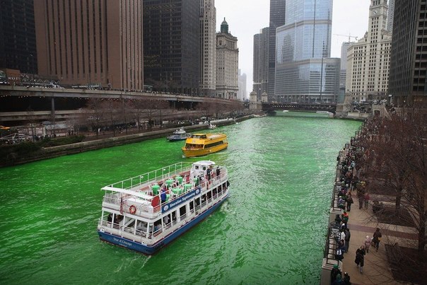 Прогулочный катер на реке Чикаго, штат Иллинойс. В течение последних 43 лет власти города на День святого Патрика окрашивают реку в зеленый цвет.