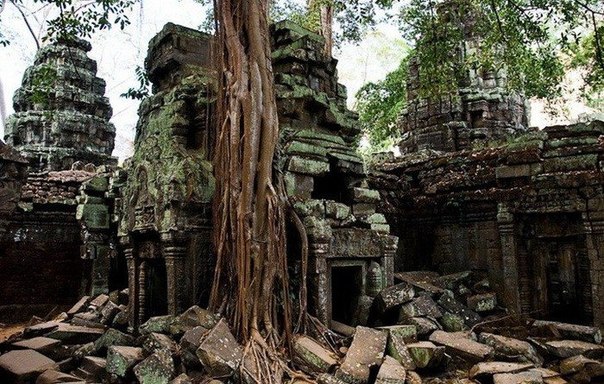 Симбиоз леса и творения человека: монастырский комплекс Та-Прохм в Камбоджа