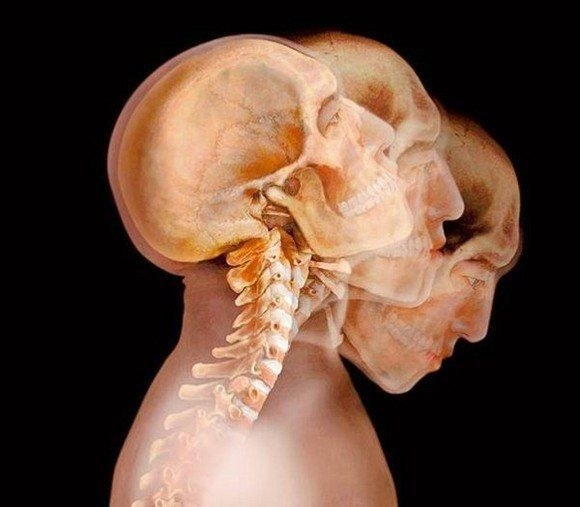 Тело человека в рентгеновских лучах