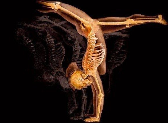 Тело человека в рентгеновских лучах