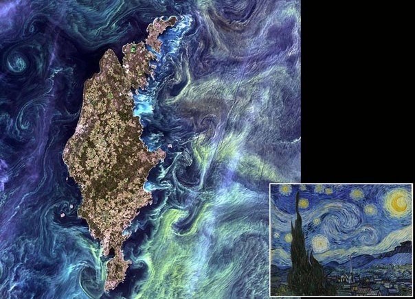Американское агентство НАСА провело конкурс в Интернете, в котором пользователи должны были отобрать лучшие фотографии, объединенные в коллекцию «Земля как произведение искусства». Победителем голосования стал снимок, который назвали «Ван Гог из космоса» – он действительно похож на знаменитую картину голландского художника «Звездная ночь». На фото: шведский остров Готланд в Балтийском море.