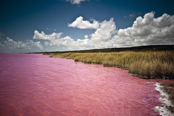 Розовое озеро на острове Миддл.