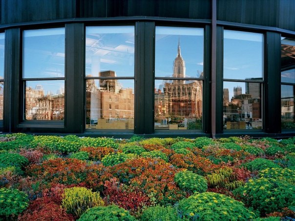 Сад на крыше, Манхэттен