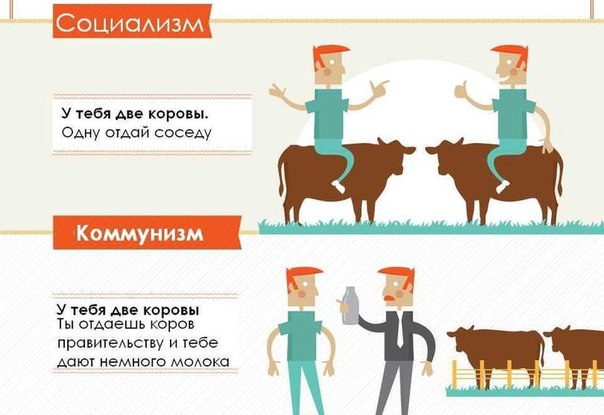 Типы общества на примере 2 коров