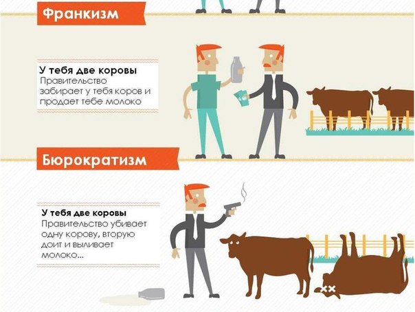 Типы общества на примере 2 коров