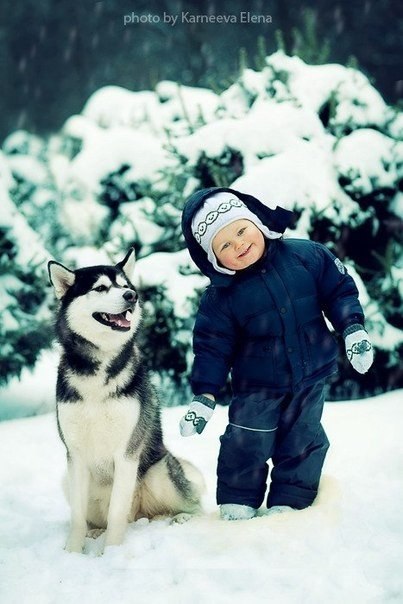 Серия фотографий "Волшебная зима: дети и животные в лесу" от Елены Корнеевой
