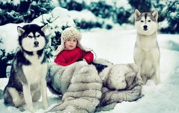 Серия фотографий "Волшебная зима: дети и животные в лесу" от Елены Корнеевой