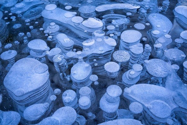 Замерзшие пузыри метана на озере Авраам, Канада.