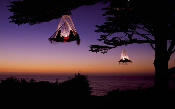 Кемпинг на деревьях, побережье Калифорнии.