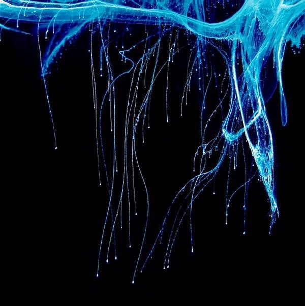 Красочная водная абстракция от Марка Моусона