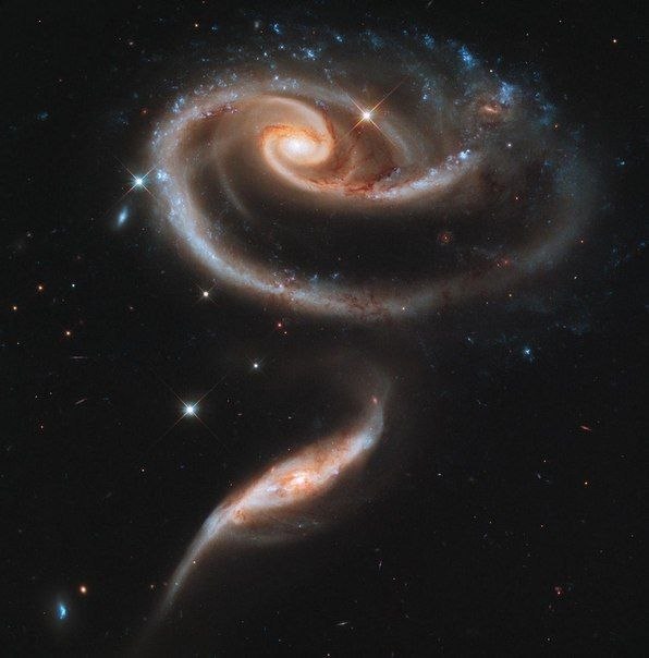 Галактическая роза — это снимок 2-х галактик, искажённый таким образом, чтобы показать момент, когда меньшая галактика проходит через большую.